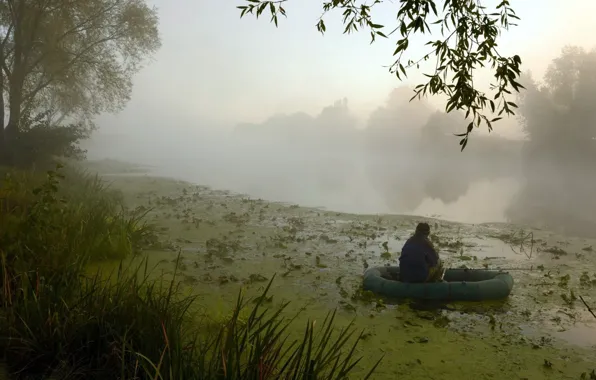 Trees, river, shore, boat, fishing, fisherman
