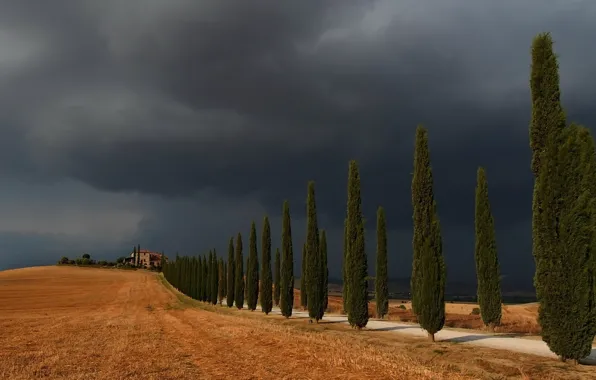 Road, the sky, trees, landscape, Storm in Val d'Orcia