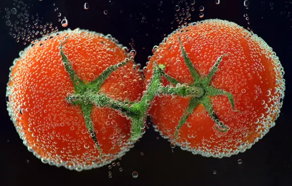 Water, bubbles, tomatoes