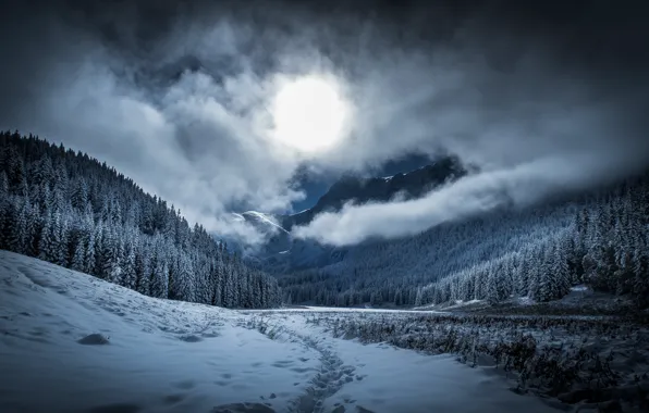Picture winter, frost, forest, the sky, clouds, light, snow, mountains
