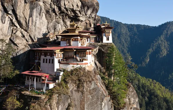 Picture forest, rocks, home, Sergey Dolya, Bhutan