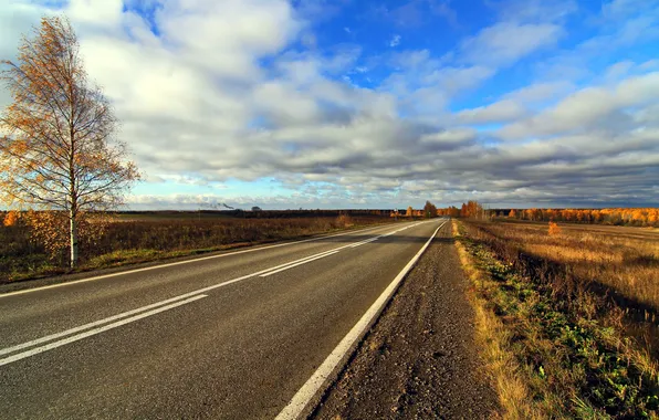 Road, the sky, landscape