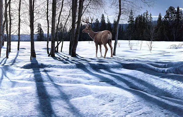 Winter, forest, snow, landscape, nature, deer, shadows, painting