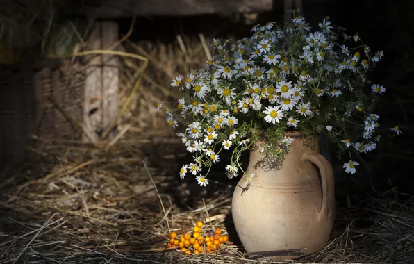 Picture flowers, chamomile, hay, vase