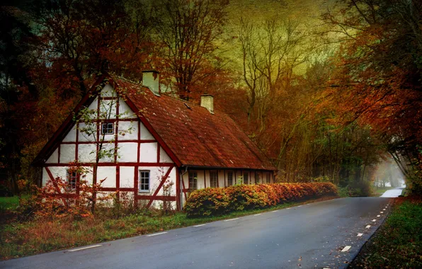 Road, autumn, trees, house, canvas