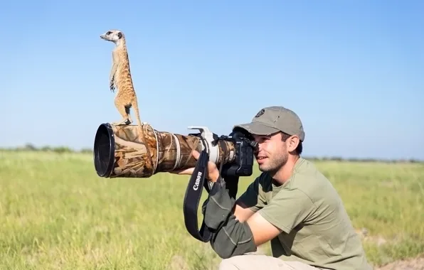 Photographer, lens, meerkat