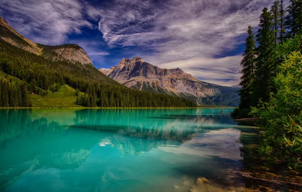 Forest, the sky, clouds, trees, mountains, lake, beauty, Canada