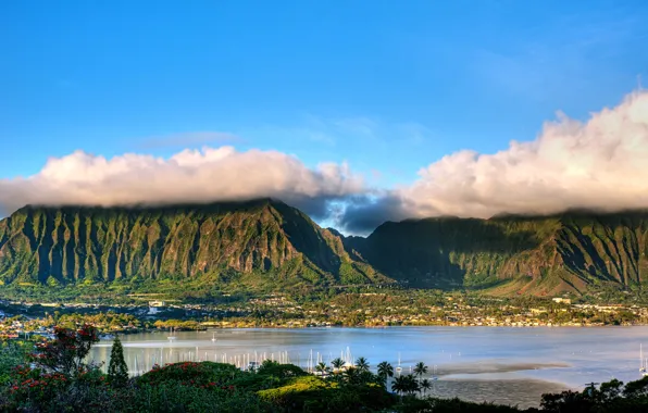 Picture clouds, mountains, tropics, palm trees, coast, island, yachts, valley