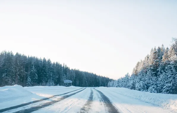 Winter, road, cold, winter forest, Volchansk, Novakov