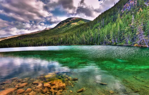 The sky, clouds, trees, lake, Landscapes, nature