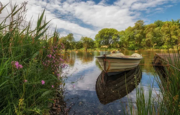 Picture grass, landscape, river, boat, Wales, Brynrefail