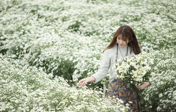 Picture field, summer, girl