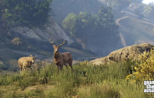 Nature, deer, gta