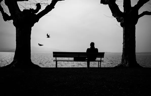 WATER, HORIZON, TREES, PEOPLE, SHOP, SILHOUETTES
