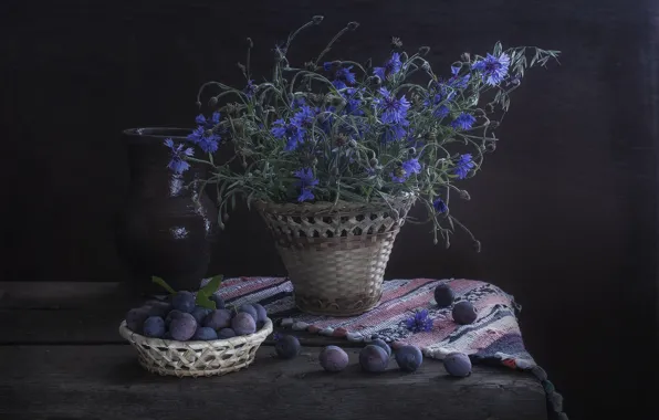 Flowers, the dark background, blue, pitcher, still life, blue, cornflowers, drain