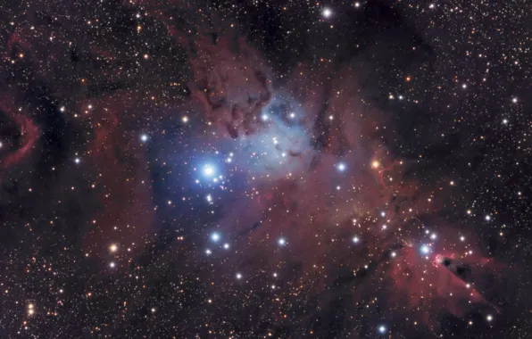 Space, Nebula, cluster Christmas Tree, Cone