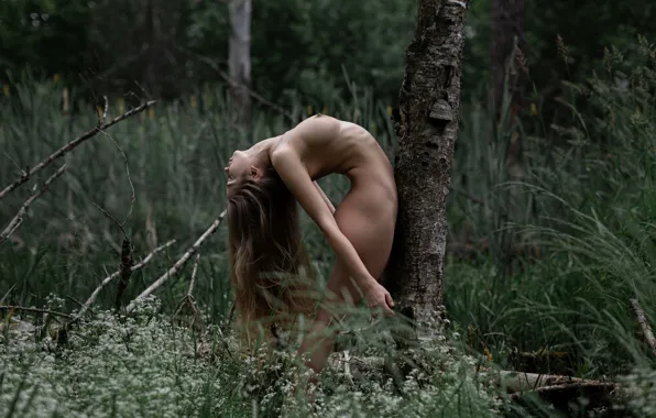 Chest, grass, girl, trees, model, hair, naked, body