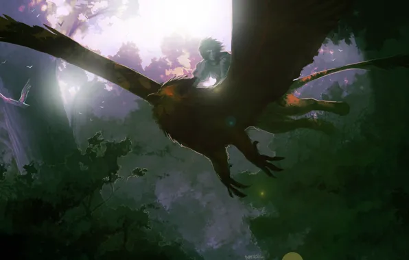 Forest, birds, nature, anime, art, guy, Griffin, amsbt