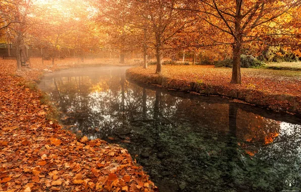 Picture autumn, the city, Park, river