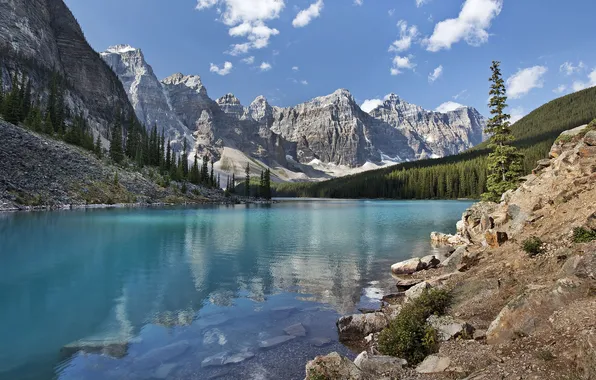 Forest, the sky, clouds, trees, mountains, nature, lake, stones