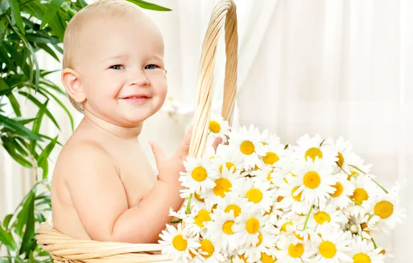 Flowers, basket, chamomile, child, smile, the flowers of life