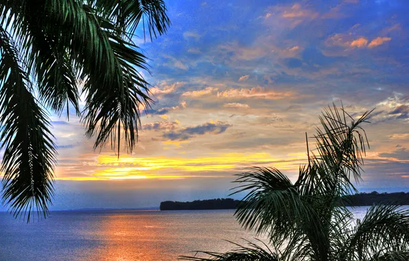 Picture the sky, water, the sun, clouds, palm trees, foliage, Argentina, mouth