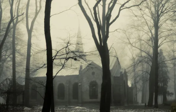 Picture winter, fog, haze, Mist, the Church, Church, Fog, Trees