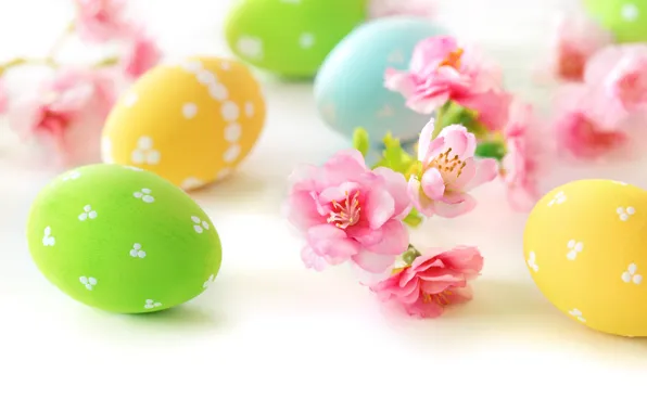 Flowers, eggs, Easter, flowers, spring, Easter, eggs