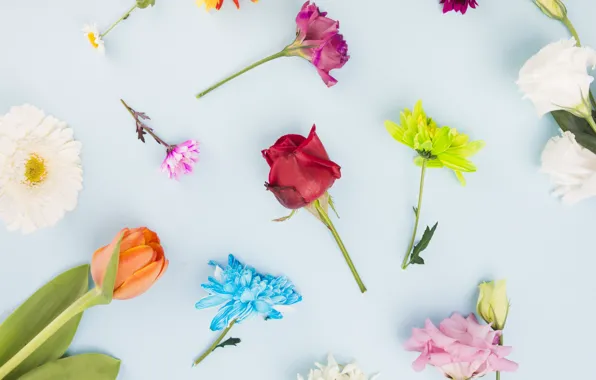 Picture flowers, background, blue, decor