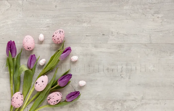 Flowers, eggs, tulips, flowers, easter