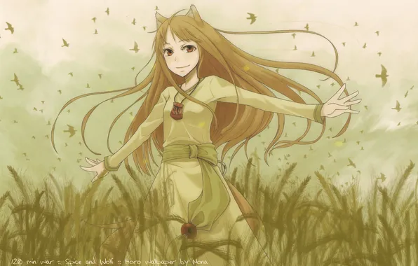 Picture field, wolf, Horo, Spice and wolf, Holo, Spice and Wolf, Holo, Horo.