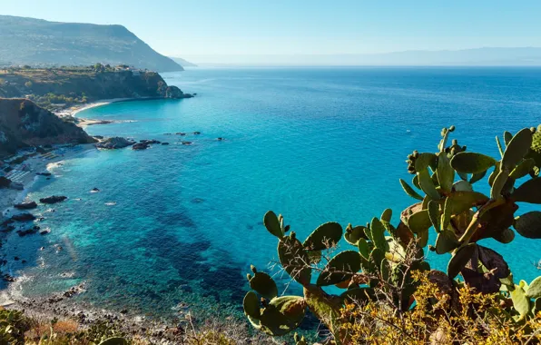 Picture rock, sky, sea, landscape, Italy, plants, Calabria, Capo Vaticano