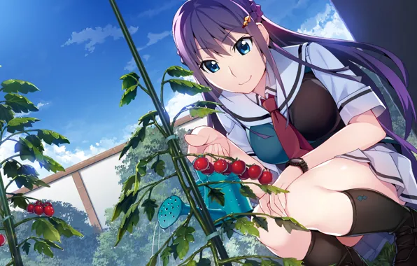 Girl, fruit, the garden, Grisaia: Phantom Trigger