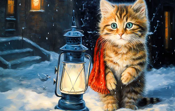 Winter, cat, look, light, snow, night, pose, house