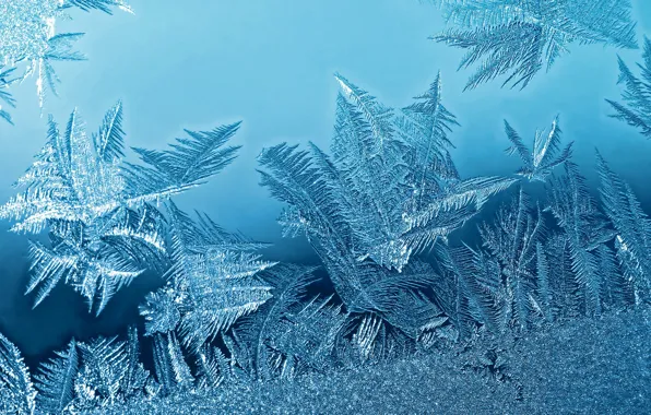Cold, winter, frost, glass, snow, snowflakes, pattern, ice