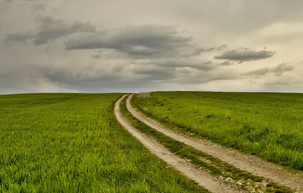 Picture road, field, summer, the sky