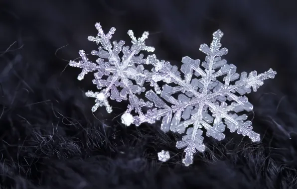 Winter, snow, snowflakes, crystals