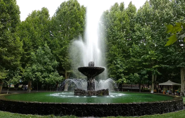 Summer, water, trees, green, garden, summer, green, trees