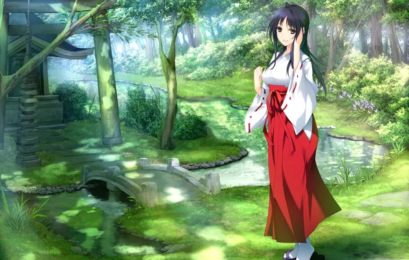 Picture forest, girl, iizuka tasuku