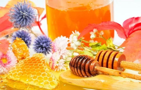 Picture flowers, cell, honey, spoon, honey, wooden