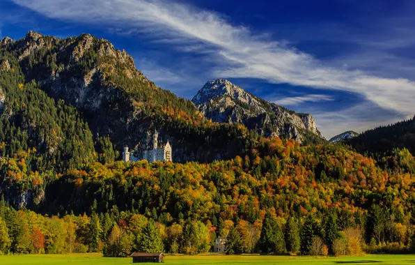 Autumn, forest, mountains, Germany, Bayern, Germany, Bavaria, Neuschwanstein Castle