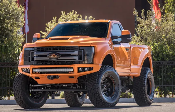 Ford, Pickup, Heavy Duty, F-250, Ford F-250, 2017, SEMA 2017, BDS