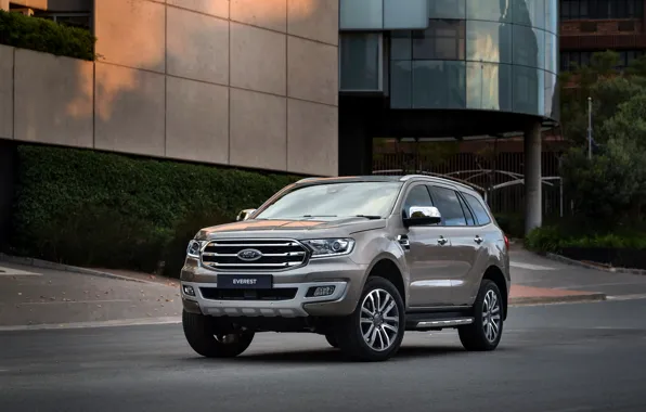 Picture asphalt, the building, Ford, Everest, Limited, 4WD, 2019