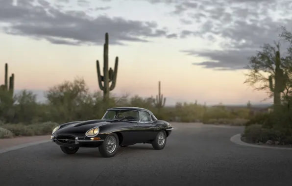 Picture Roadster, Jaguar, E-Type, Series, 1966, 1 4.2-Litre