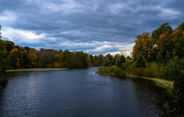 Picture autumn, forest, the sky, clouds, river, Nature, the evening, forest