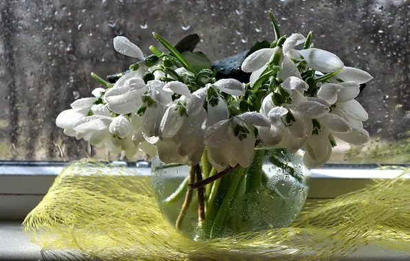 Water, flowers, rain, bouquet, spring, snowdrops, still life, composition