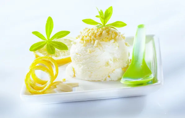 Lemon, ice cream, nuts, mint, dessert