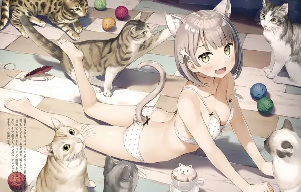 Cats, barefoot, the girl-cat, underwear, balls, lying on the floor, cat ears, neko girl