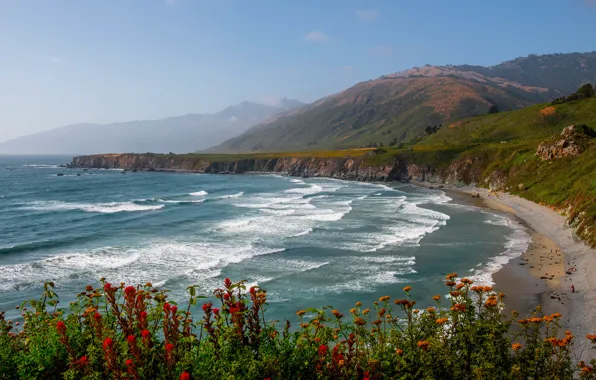 Picture resting, flowers, mountains, surf, fog, shore, resort, beach
