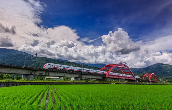 Wallpaper field, bridge, train images for desktop, section другая ...